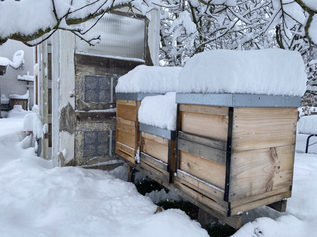 Drei Bienenstöcke aus Holz mit einer dicken Schneehaube darauf.